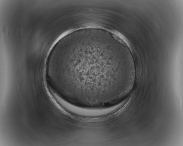 X0000085301142200703091426