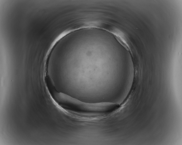 X0000085301143200703091426