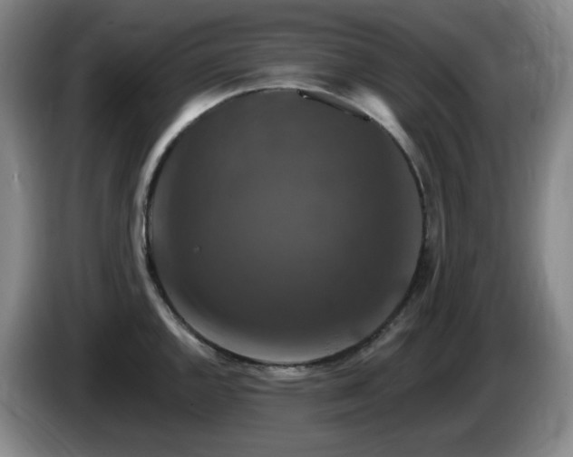 X0000085301144200703091426