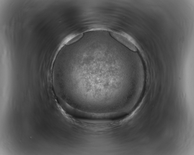 X0000085301145200703091426