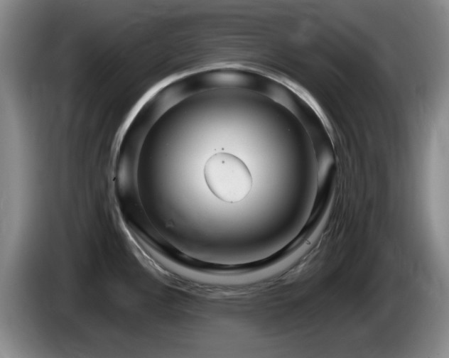 X0000085301148200703091426