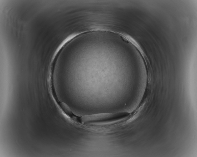 X0000085301149200703091426