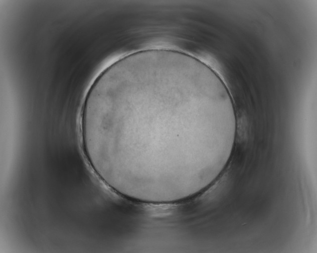 X0000085301150200703091426