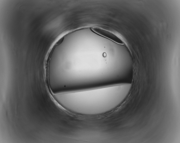 X0000085301151200703091426