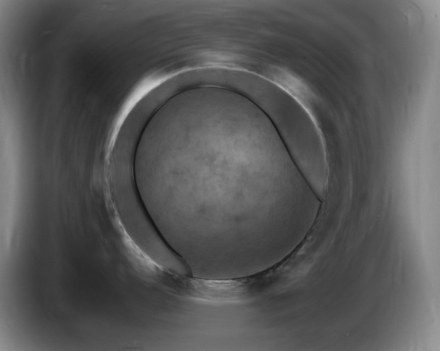 X0000085301152200703091426