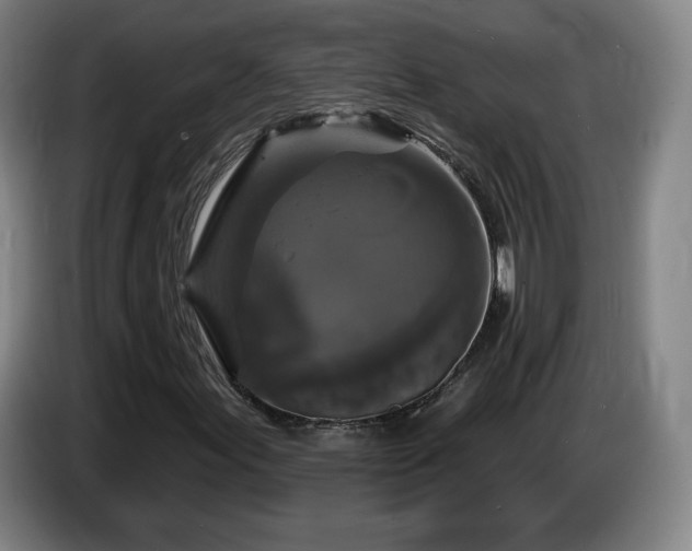 X0000085301155200703091426