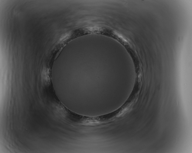 X0000085301156200703091426