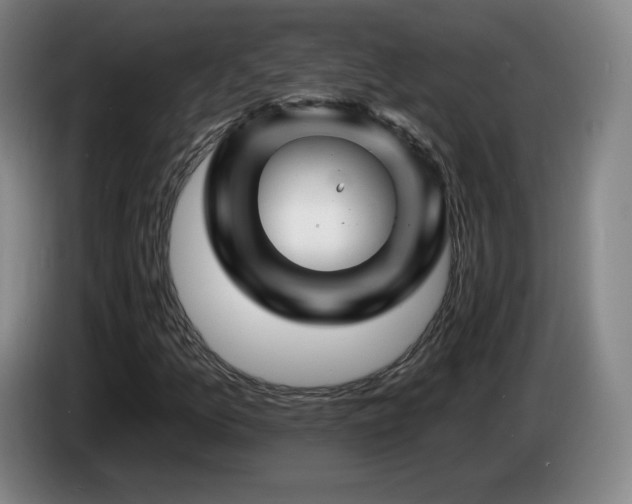 X0000085301157200703091426