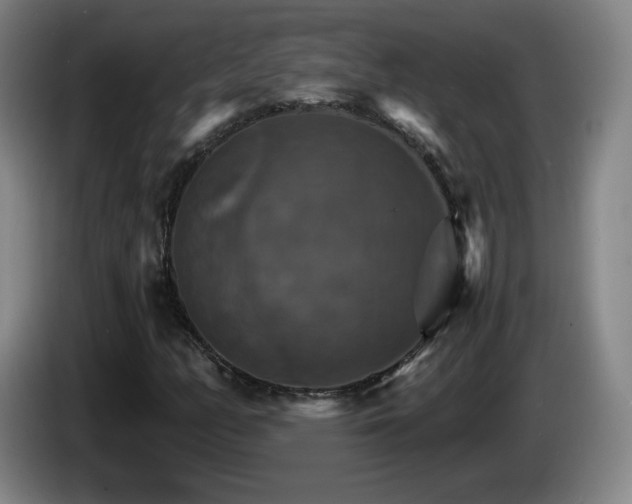 X0000085301158200703091426