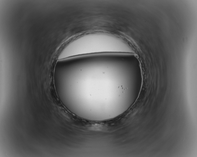 X0000085301160200703091426