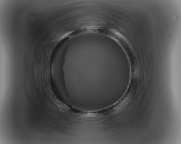 X0000085301161200703091426