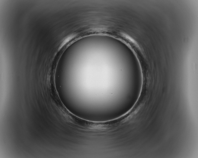 X0000085301162200703091426