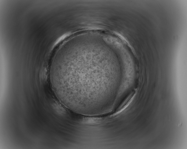 X0000085301163200703091425