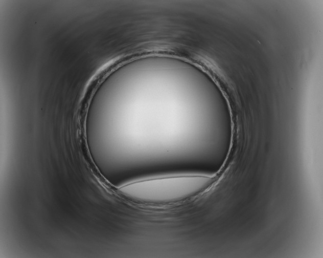 X0000085301164200703091425