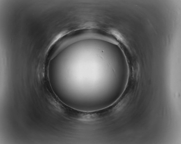 X0000085301165200703091425