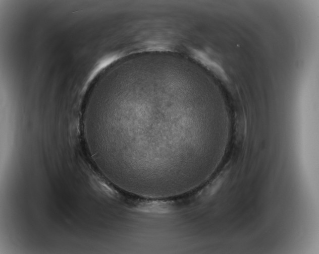 X0000085301166200703091425