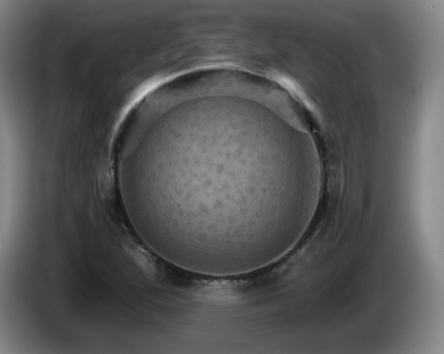 X0000085301167200703091425