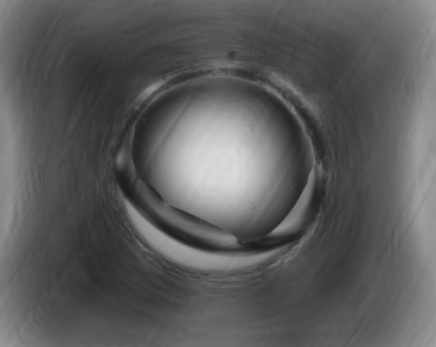 X0000085301169200703091425