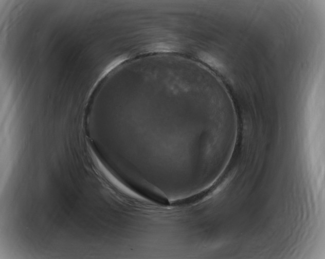 X0000085301170200703091425