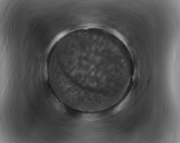 X0000085301171200703091425