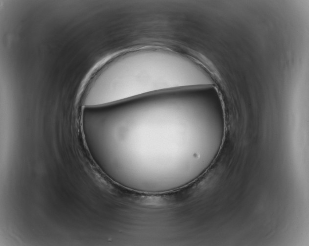 X0000085301172200703091425