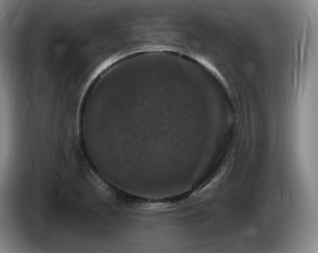 X0000085301173200703091425