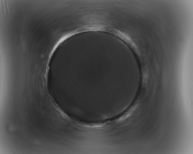 X0000085301174200703091425