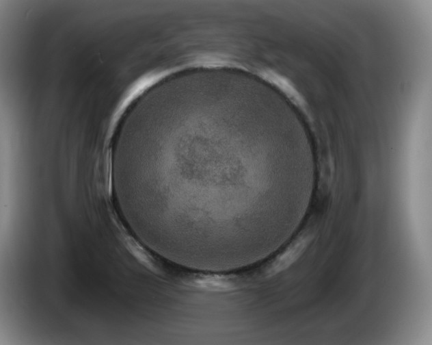 X0000085301175200703091425