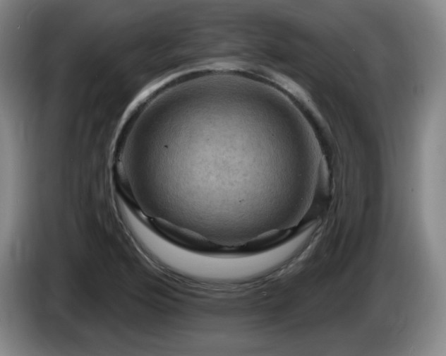 X0000085301176200703091425