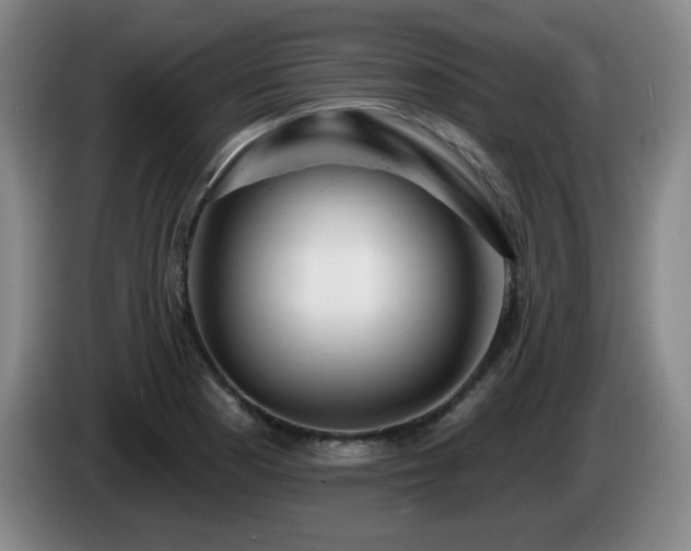 X0000085301177200703091425