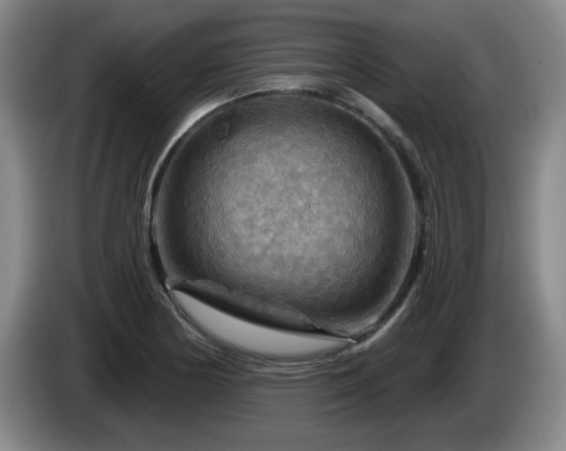 X0000085301178200703091425