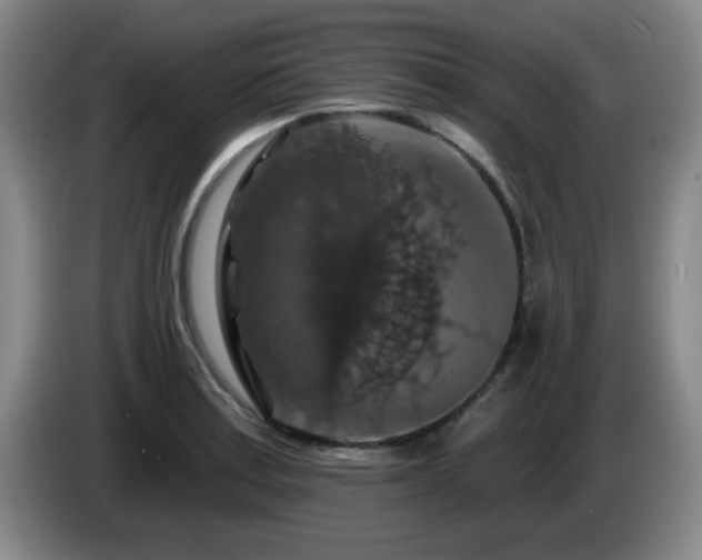 X0000085301179200703091425