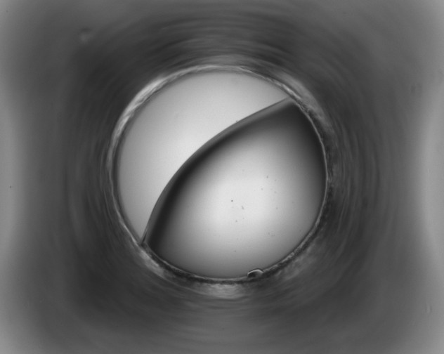 X0000085301180200703091425