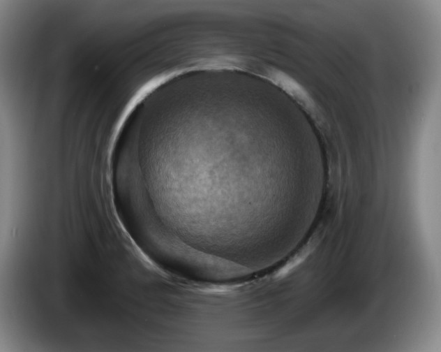 X0000085301184200703091425