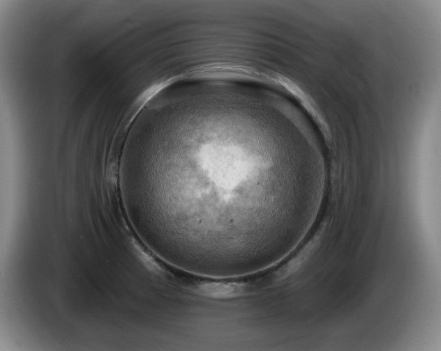 X0000085301185200703091425