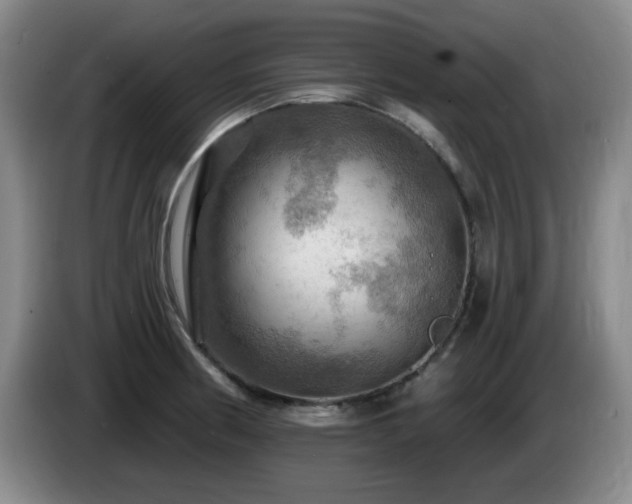 X0000085301186200703091425