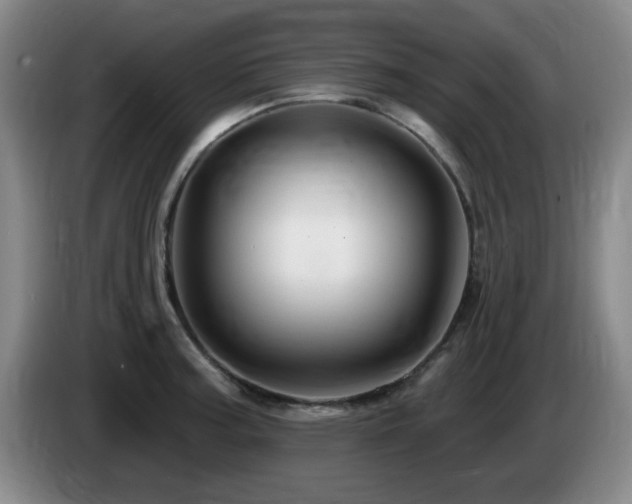 X0000085301187200703091425