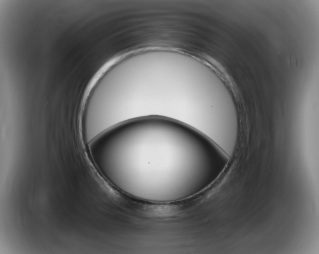 X0000085301188200703091425