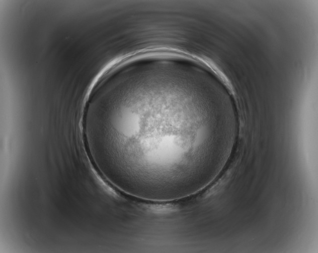 X0000085301189200703091425