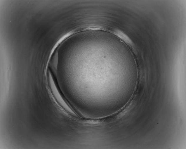 X0000085301190200703091425