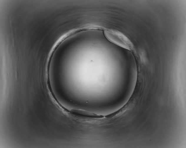 X0000085301191200703091425