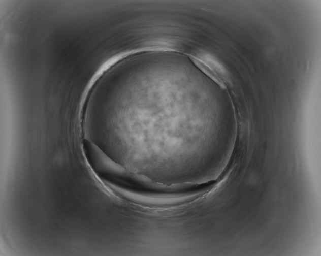 X0000085301192200703091425