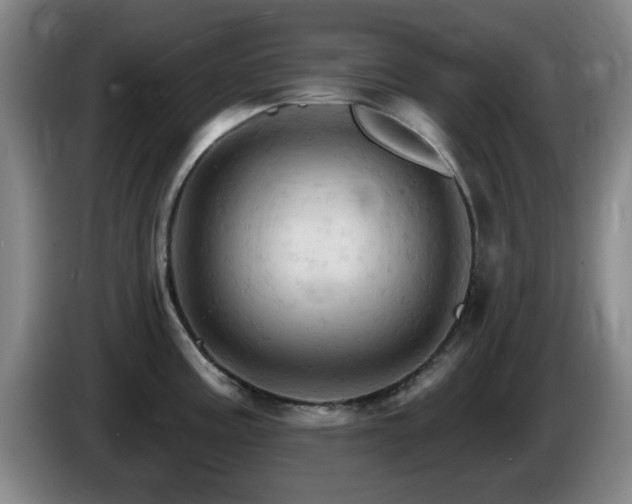 X0000085301195200703091425