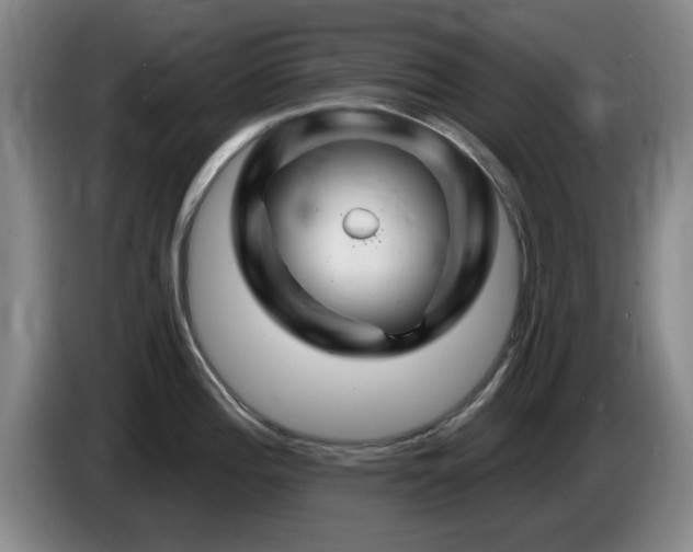 X0000085301196200703091425