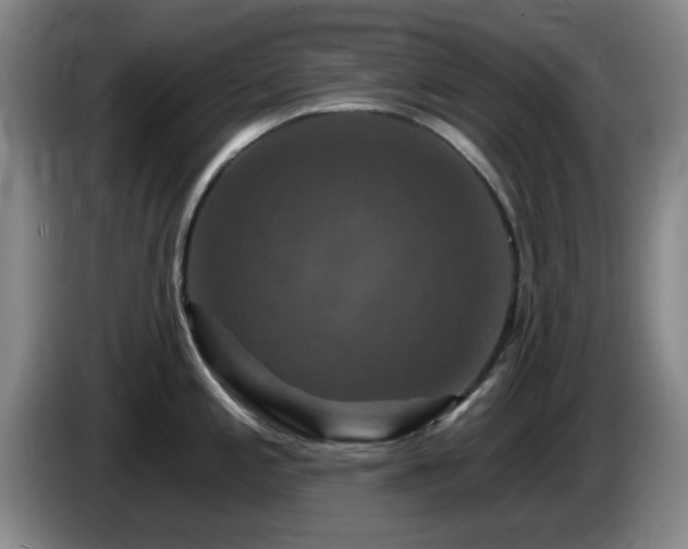 X0000085301197200703091425