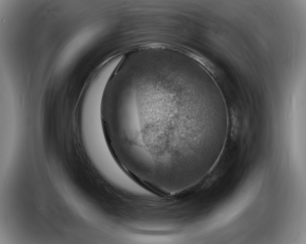 X0000085301198200703091425