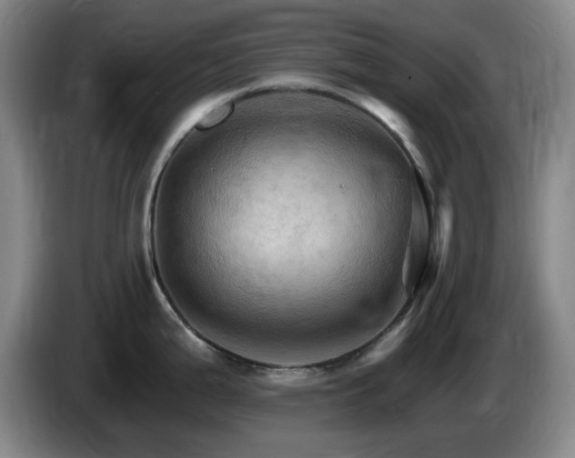 X0000085301199200703091425