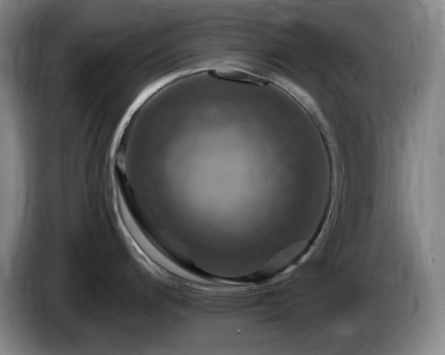 X0000085301200200703091425