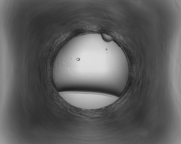 X0000085301201200703091424