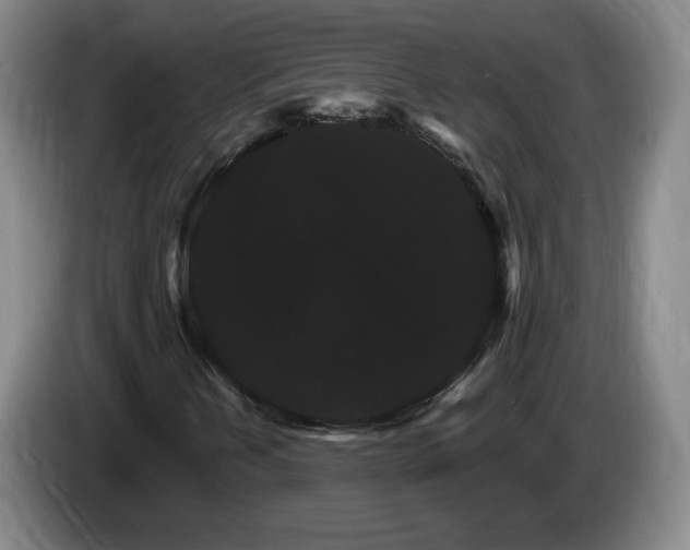 X0000085301202200703091424